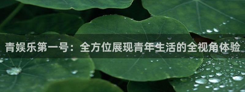 新城平台登录：青娱乐第一号：全方位展现青年生活的全视角体验