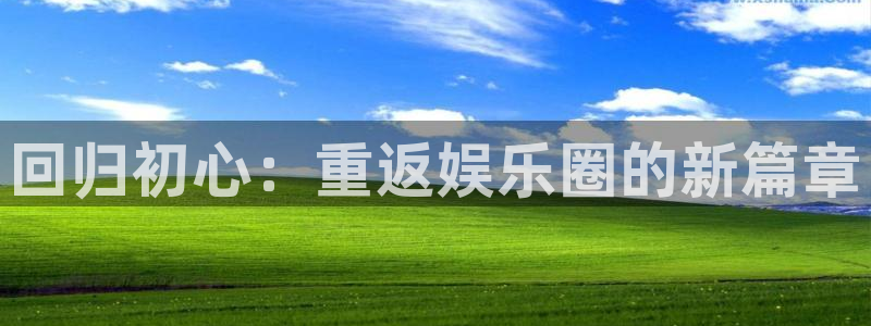 新城平台登录：回归初心：重返娱乐圈的新篇章