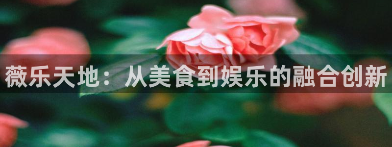 新城平台登录：薇乐天地：从美食到娱乐的融合创新