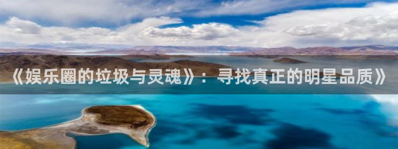 新城平台网页版登录：《娱乐圈的垃圾与灵魂》：寻找真正的明星品质》