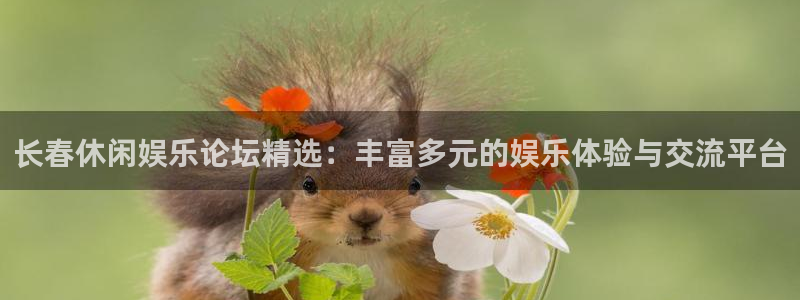 新城平台官网：长春休闲娱乐论坛精选：丰富多元的娱乐体验与交流平台